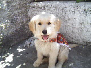 Esta foto es de cuando Danna tenía solo 2 meses y medio, fue tomada para el 18 de septiembre del 2010... Sale hermosa...